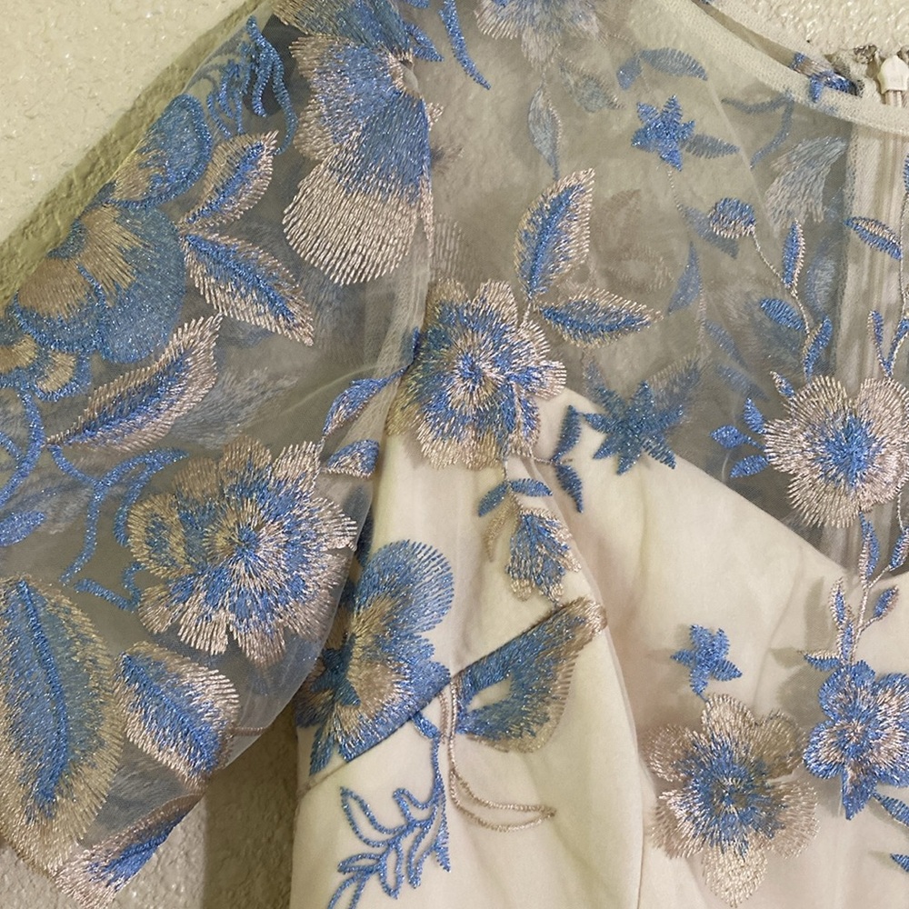 NWT Adrianna Papell Long Illusion Embellished Mesh Gown Size 4 - Picture 8 of 15